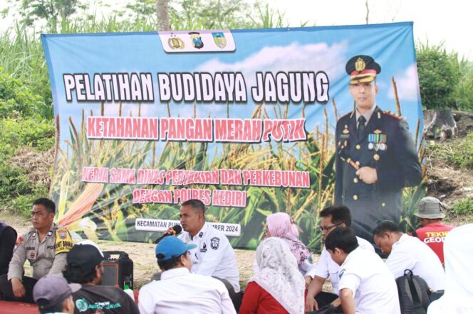 
 Bersama Dinas Pertanian dan Perkebunan, Polres Kediri Gelar Pelatihan Budidaya Jagung di Puncu