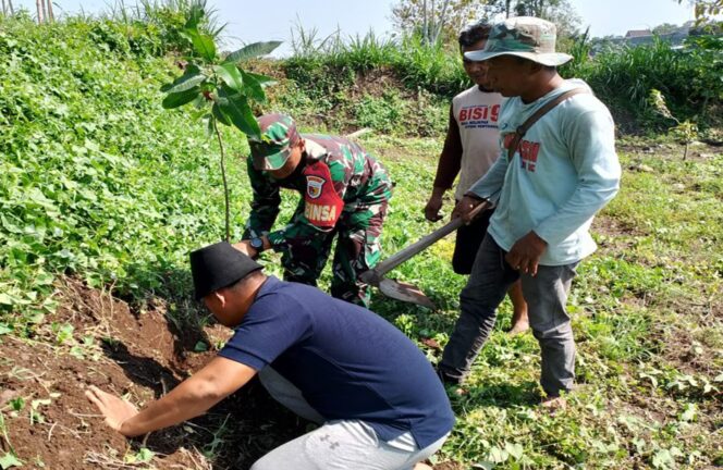 
 Menyatu Dengan Alam, Babinsa Sananwetan Tanam Pohon Bersama Di Tanggul Sungai Beru